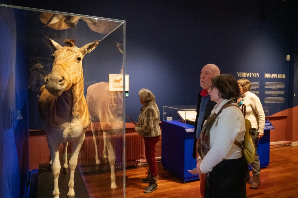 Museumbezoek – Naturalis Biodiversity Center